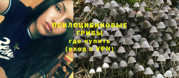 прущая мука Белоозёрский